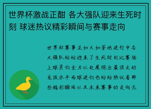 世界杯激战正酣 各大强队迎来生死时刻 球迷热议精彩瞬间与赛事走向